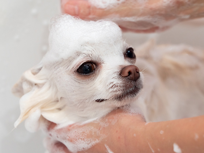 皮膚ケア・仕上がり
